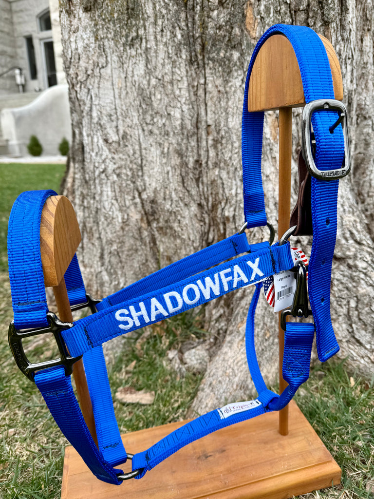 Custom nylon horse halter made in USA – Lucky Pony Tack